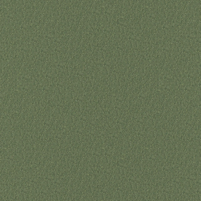 media image for Woolish Fabric in Laurel Green 225