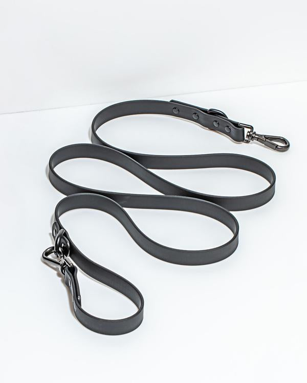 media image for Leash in Various Sizes & Colors 214