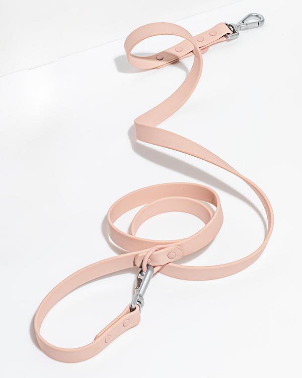media image for Leash in Various Sizes & Colors 296