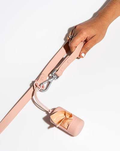 product image for Leash in Various Sizes & Colors 30