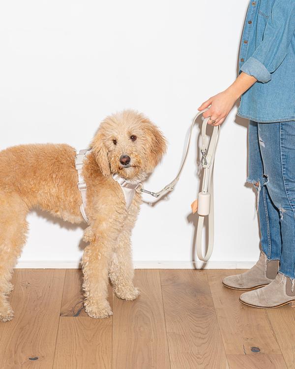 media image for Leash in Various Sizes & Colors 228