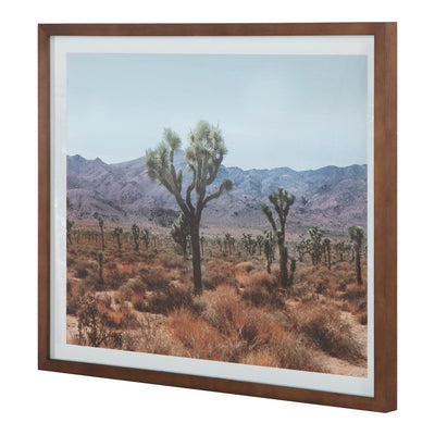 product image for Desert Land Framed Print 2 83