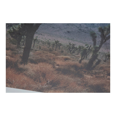product image for Desert Land Framed Print 3 70