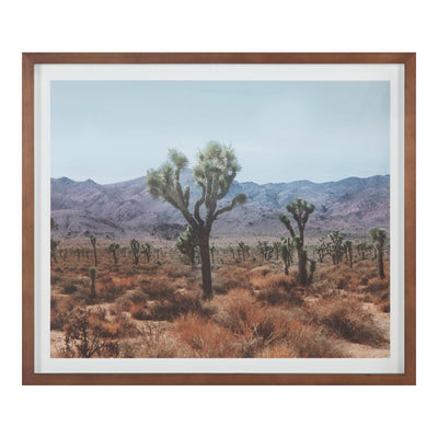 product image for Desert Land Framed Print 1 66