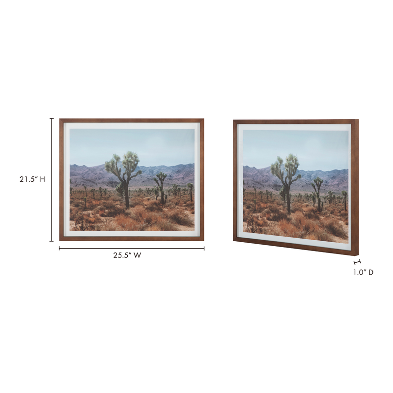 media image for Desert Land Framed Print 5 232
