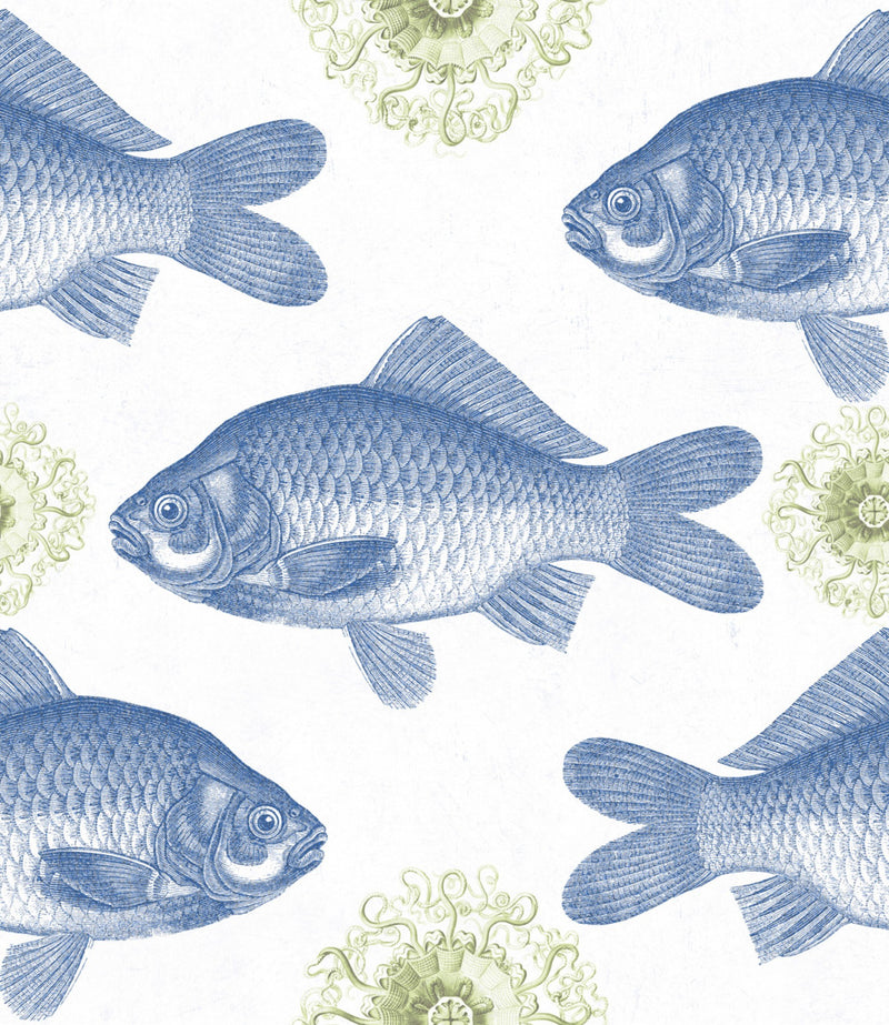 media image for Fish Blue Wallpaper from Collection I by Mind the Gap 255
