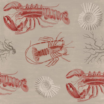 product image of sample lobster taupe wallpaper from collection i by mind the gap 1 519