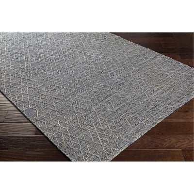 product image for Watford WTF-2300 Hand Woven Rug by Surya 67