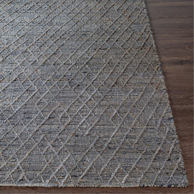product image for Watford WTF-2300 Hand Woven Rug by Surya 53