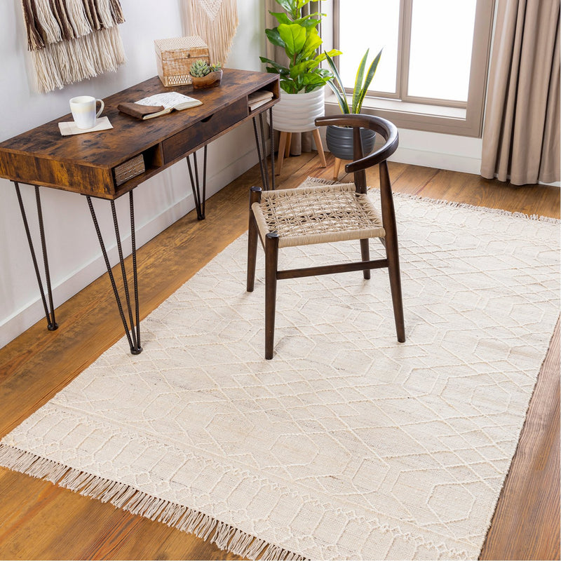media image for Watford WTF-2303 Hand Woven Rug by Surya 234