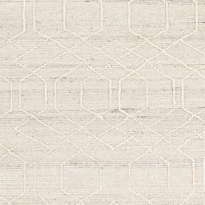 product image for Watford WTF-2303 Hand Woven Rug 1