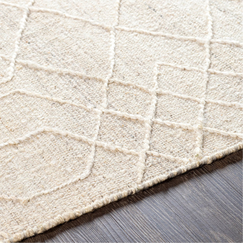 media image for Watford WTF-2303 Hand Woven Rug 269