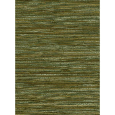 product image of Water Hyacinth Grasscloth Wallpaper in Greens and Tan from the Natural Resource Collection by Seabrook Wallcoverings 524