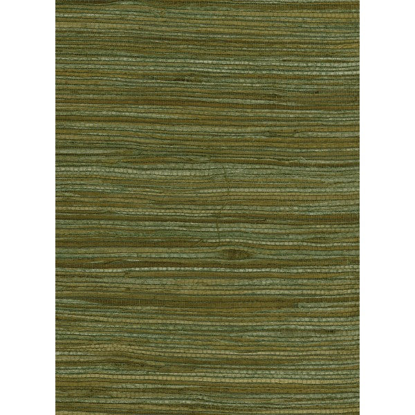 media image for Water Hyacinth Grasscloth Wallpaper in Greens and Tan from the Natural Resource Collection by Seabrook Wallcoverings 235