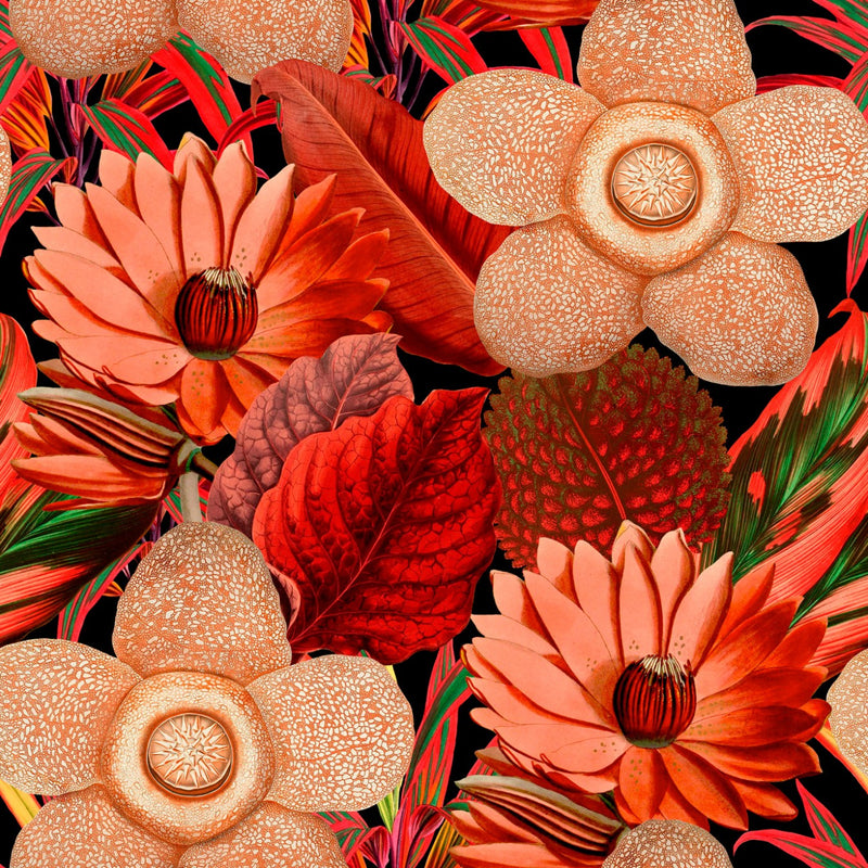 media image for sample water lilies wallpaper in black and red from the florilegium collection by mind the gap 1 20