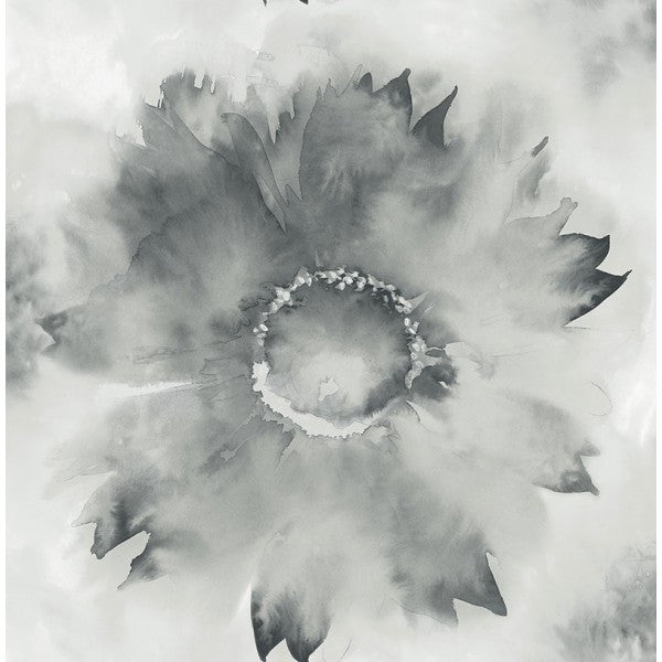 media image for sample watercolor sunflower wallpaper in grey and black from the latelier de paris collection by seabrook 1 234