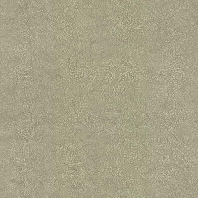 product image for Weathered Wallpaper in Beige by Antonina Vella for York Wallcoverings 37