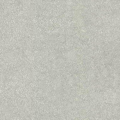 product image for Weathered Wallpaper in Light Grey by Antonina Vella for York Wallcoverings 29