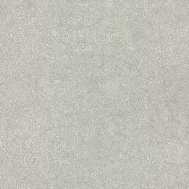 media image for Weathered Wallpaper in Light Grey by Antonina Vella for York Wallcoverings 263