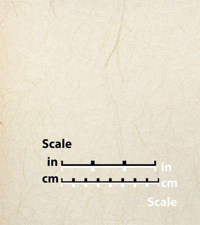 product image of White Vein Natural Wallpaper by Burke Decor 598