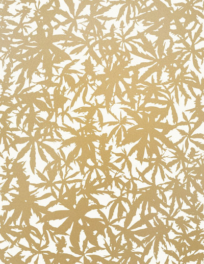 product image of sample wild thing wallpaper in gold on cream design by juju 1 59