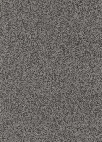 product image of Wildside Wallpaper in Grey and Neutrals design by BD Wall 584