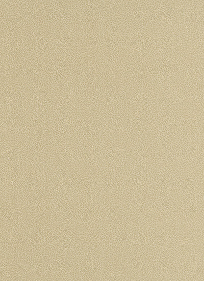 product image of Wildside Wallpaper in Light Brown design by BD Wall 513