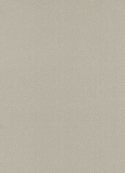 product image of Wildside Wallpaper in Taupe design by BD Wall 547