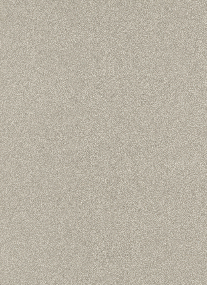media image for Wildside Wallpaper in Taupe design by BD Wall 220