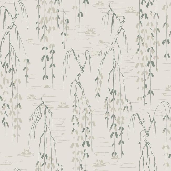 Shop Sample Willow Branches Wallpaper in Green from the Tea Garden