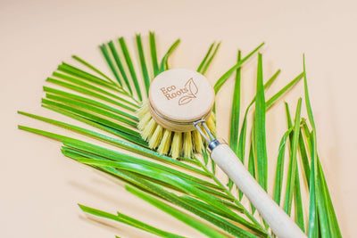 product image for wooden dish brush by eco roots 5 39