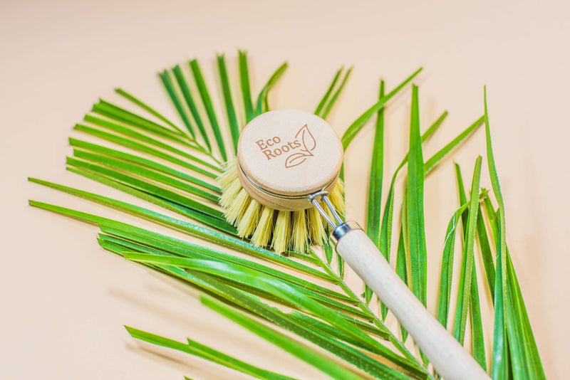 media image for wooden dish brush by eco roots 5 267