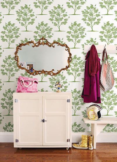 product image for Woodland Green Trees & Birds Wallpaper from the Essentials Collection by Brewster Home Fashions 1