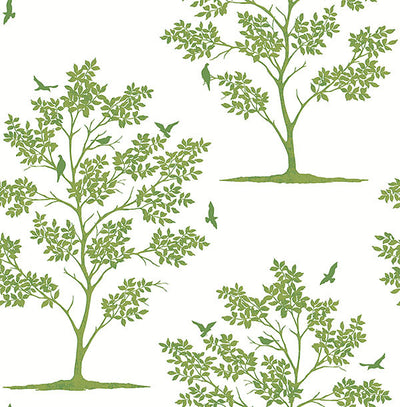 product image of sample woodland green trees birds wallpaper from the essentials collection by brewster home fashions 1 513
