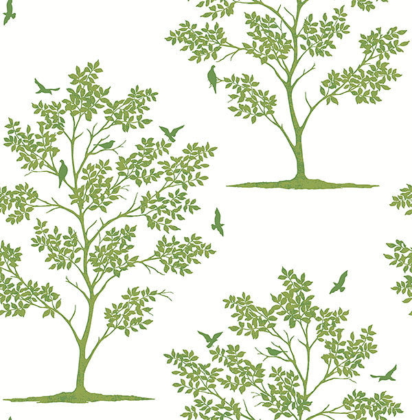 media image for Woodland Green Trees & Birds Wallpaper from the Essentials Collection by Brewster Home Fashions 232