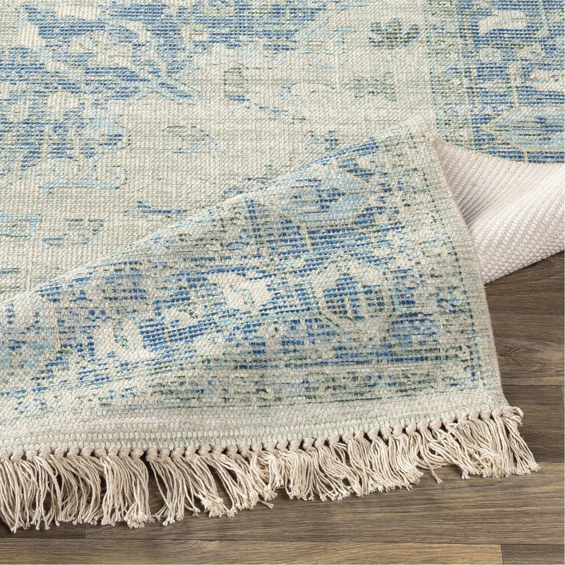 media image for Zainab ZAI-2300 Hand Woven Rug in White & Sky Blue by Surya 245