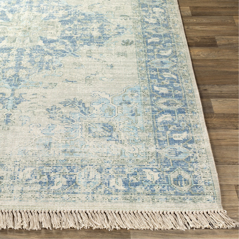 media image for Zainab ZAI-2300 Hand Woven Rug in White & Sky Blue by Surya 271