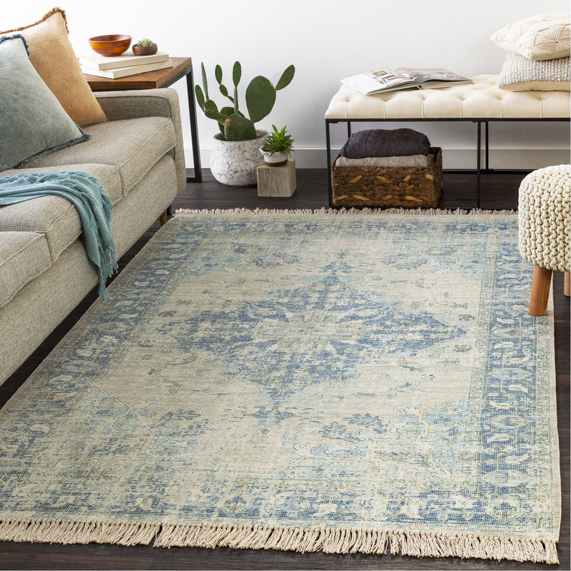 media image for Zainab ZAI-2300 Hand Woven Rug in White & Sky Blue by Surya 268