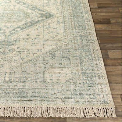 product image for Zainab ZAI-2303 Hand Woven Rug in Sage by Surya 96