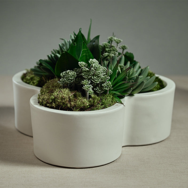 media image for lucine flower shape planter bowl by zodax vt 1401 3 270