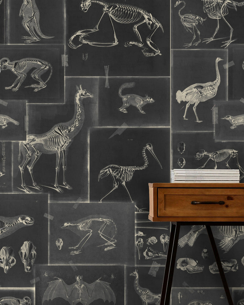 media image for Zooarchaeology Anthracite Wallpaper from Collection II by Mind the Gap 251