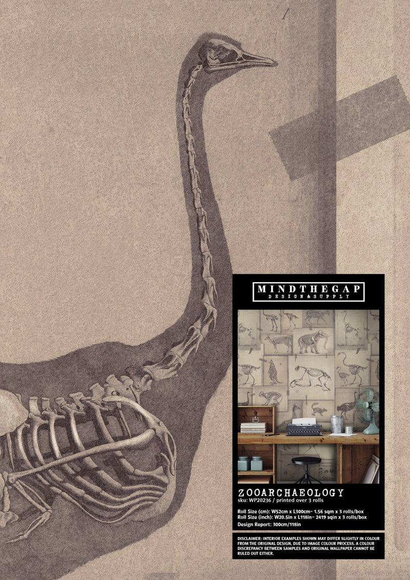 media image for Zooarchaeology Wallpaper from Collection II by Mind the Gap 293
