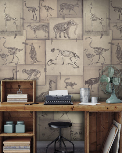 product image of Zooarchaeology Wallpaper from Collection II by Mind the Gap 567