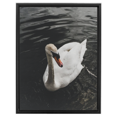 product image for swan framed canvas 4 37