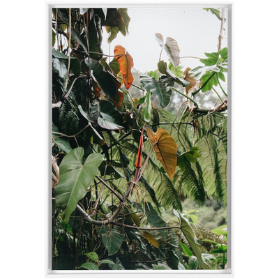 product image for jungle framed canvas 1 75
