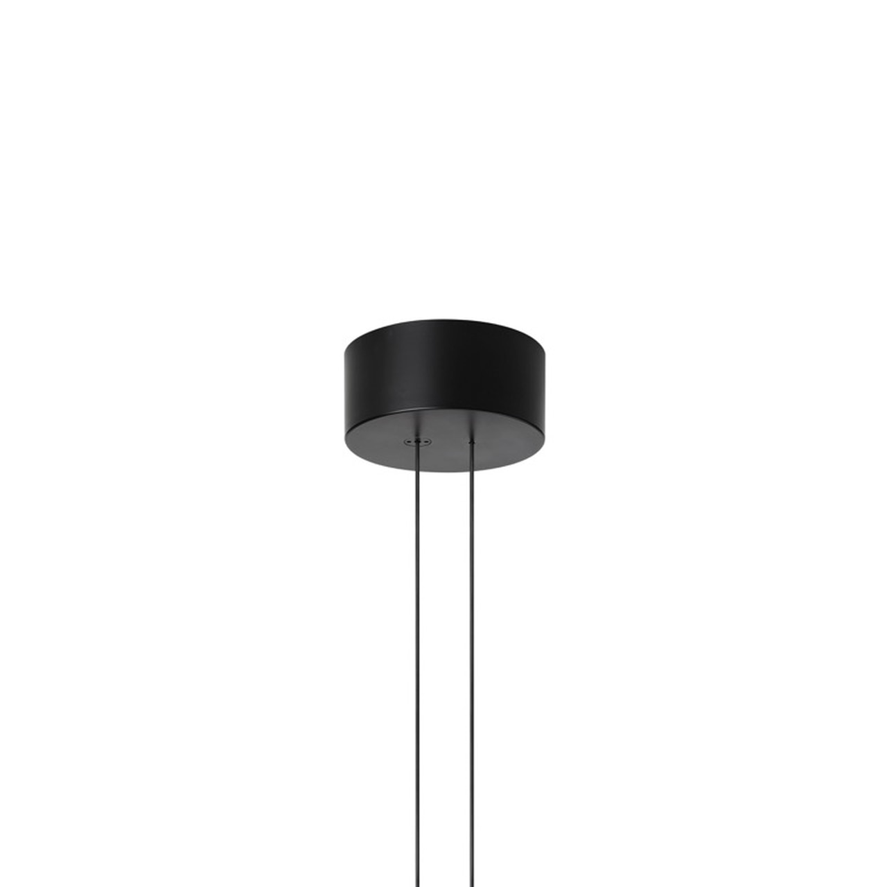 Shop Arrangements Small Black Canopy 70W max | Burke Decor