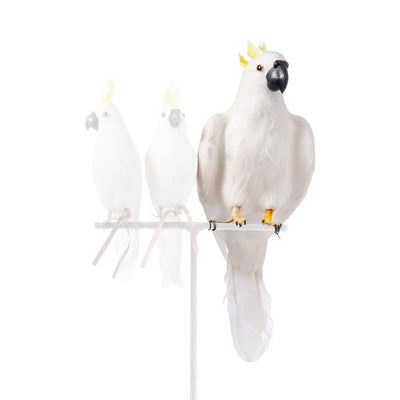 product image for parrot large design by puebco 2 27
