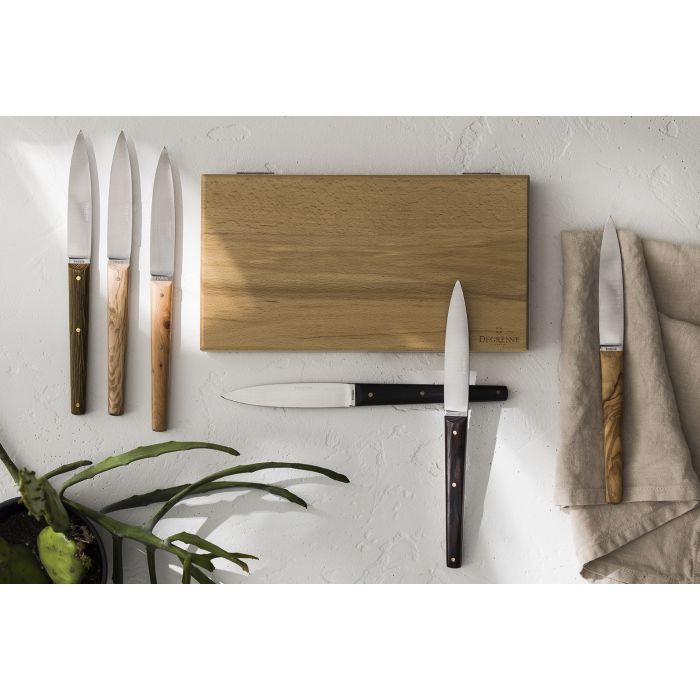 media image for Mirage Les Essences Gift Box of 6 Table Steak Knives by Degrenne Paris 254