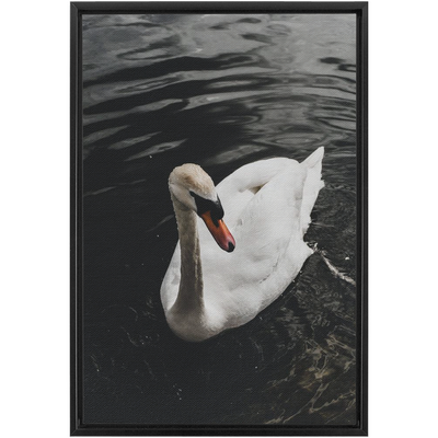 product image for swan framed canvas 18 22