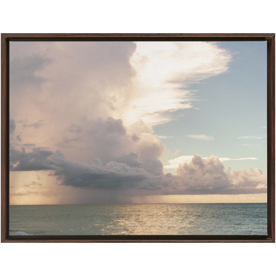 product image for floral dream framed traditional stretched canvas 11 91